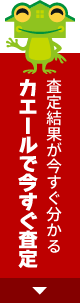 査定結果が今すぐ分かるカエールで今すぐ査定